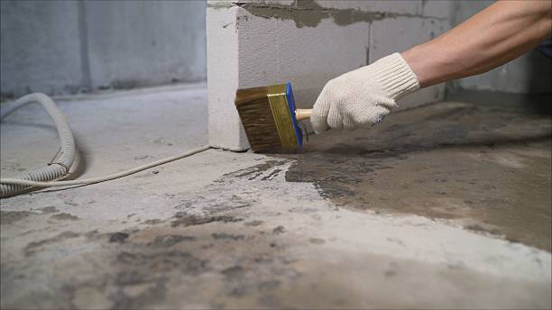 24/7 Emergency Crawl Space Encapsulation experts in Haslett, MI